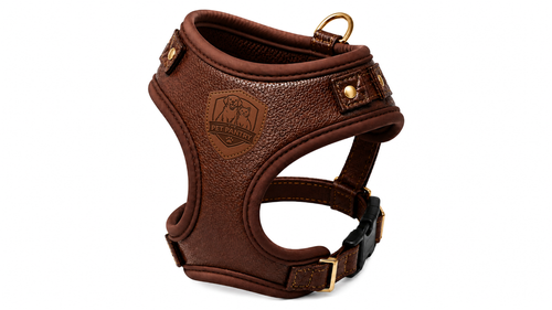 Luxury Genuine Leather No-Pull Dog Harness Vest for Small & Medium Pets
